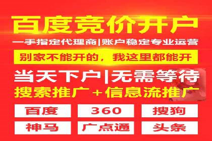 案例解析：专业SEM托管助力企业增长